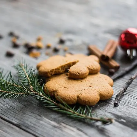 Hotel Mathildedal Matildedal