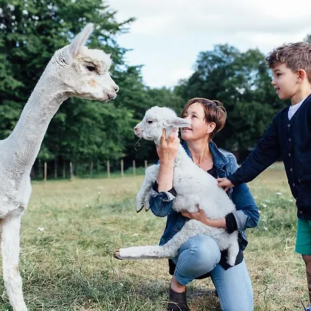 Mathildedal Matildedal